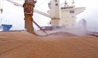 В Украине «застряли» почти 25 млн тонн зерна — ООН