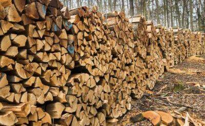 Дрова в Латвии растут в цене и становятся дефицитом