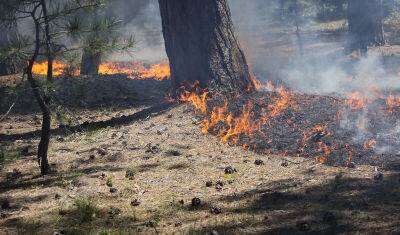 В Тюменскую область для борьбы с лесными пожарами прибыли сотрудники «Ямалспаса»