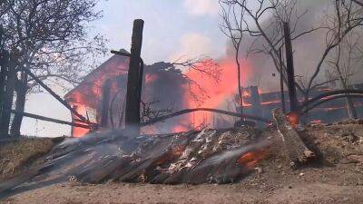 Разрушительные лесные пожары: жертвы и сотни сгоревших домов