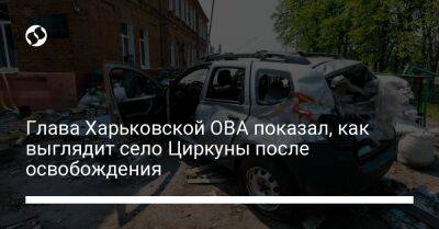 Глава Харьковской ОВА показал, как выглядит село Циркуны после освобождения