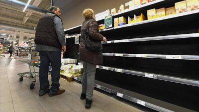 Продовольственные союзы ФРГ предупредили о риске нехватки продуктов питания