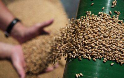 «Скоро начнется глобальная паника». Мировые цены на продовольствие вырастут на треть из-за российского вторжения в Украину