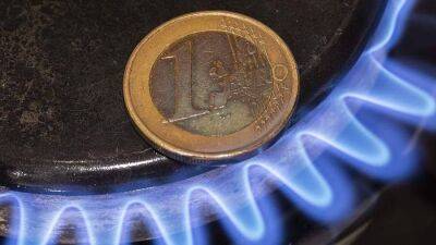В Минэкономики ФРГ объяснили позицию насчет оплаты российского газа