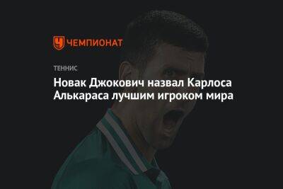 Новак Джокович назвал Карлоса Алькараса лучшим игроком мира