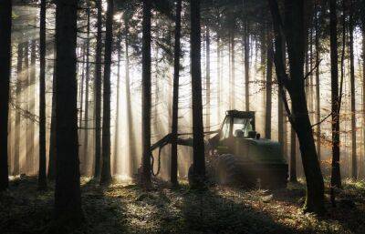 Машинист лесозаготовительной техники чуть не сгорел на работе в Тверской области