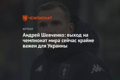 Андрей Шевченко: выход на чемпионат мира сейчас крайне важен для Украины