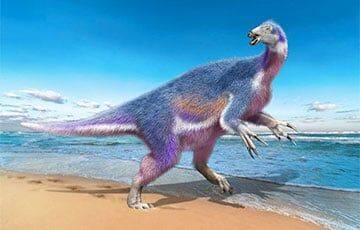 Ученые поняли, зачем динозаврам-веганам огромные когти