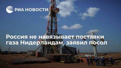Посол Шульгин: Россия не будет навязывать поставки газа Нидерландам, найдет другие рынки
