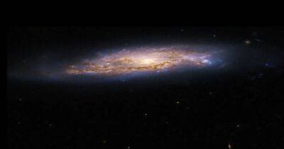 Телескоп Хаббл запечатлел две очень далекие галактики в 275 млн световых лет (фото)