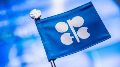 Страны ОПЕК думают исключить РФ из соглашения по добыче нефти