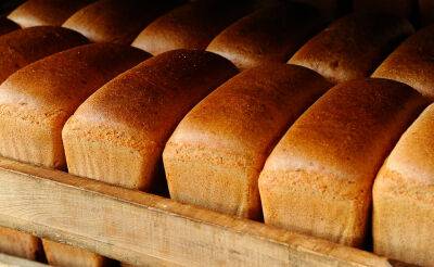 Самое высокое повышение стоимости хлеба произошло в Ташкенте, самый дешевый хлеб – в Кашкадарье