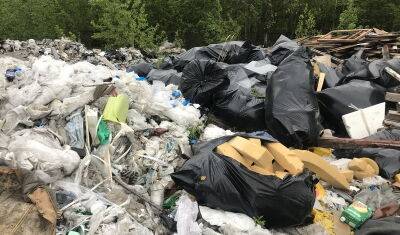 Буцаев заявил о необходимости 44 млрд рублей на обновление мусоровозов