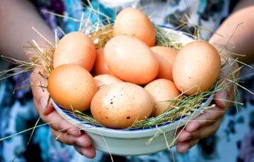 Ученые выяснили, насколько полезно употребление куриных яиц