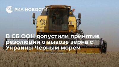 Председатель СБ ООН не исключил появления резолюции о вывозе зерна с Украины Черным морем