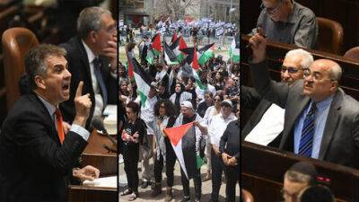 Кнессет запретил палестинские флаги в университетах