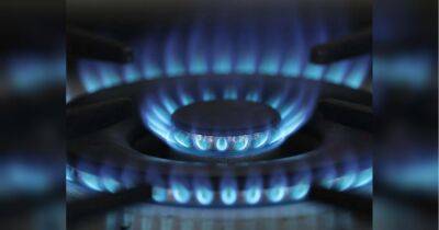 Німецькі компанії вигадали, як купувати російський газ в обхід санкцій - fakty.ua - Украина - Данія