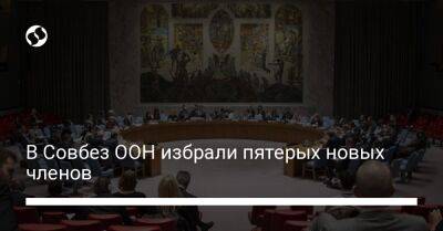 В Совбез ООН избрали пятерых новых членов