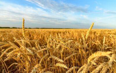 Урожай в Украине может сократиться на 40%