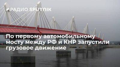РИА Новости: в Благовещенске запустили грузовое движение по первому автомобильному мосту между Россией и Китаем