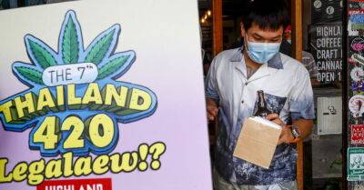 Таиланд легализовал марихуану. Но курить ее на улице все равно незаконно
