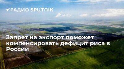 Из-за аварии на гидроузле в Краснодарском крае урожай риса в России снизится