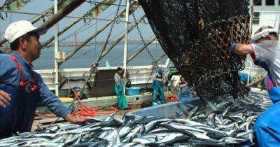 В ответ на санкции: Россия запретила японским рыбакам лов рыбы у Курильских островов