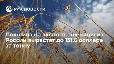 Минсельхоз: пошлина на экспорт пшеницы с 16 июня вырастет до 131,6 доллара за тонну