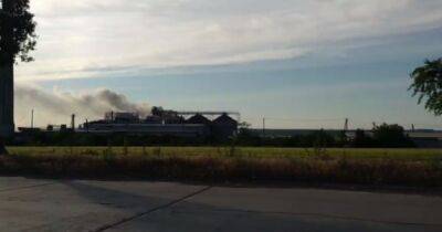 В оккупированном Мариуполе загорелся завод – уничтожены тысячи тонн семян подсолнечника