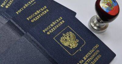 Мигранты смогут претендовать на бессрочный ВНЖ в России: условия