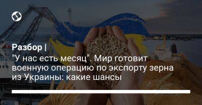 Разбор | "У нас есть месяц". Мир готовит военную операцию по экспорту зерна из Украины: какие шансы
