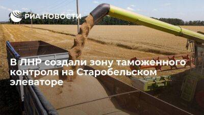 В ЛНР создали зону таможенного контроля на Старобельском элеваторе для экспорта зерна