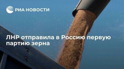 ЛНР отправила в Россию первые 650 тонн зерна