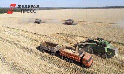 Из ЛНР в Россию вывезли первую партию зерна