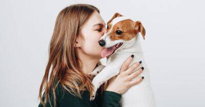 Ученые рассказали, почему собаки стали лучшими друзьями людей
