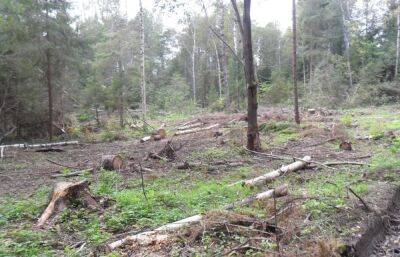 Более 16 гектаров заросших и заваленных порубочными остатками сельхозземель обнаружили в Тверской области