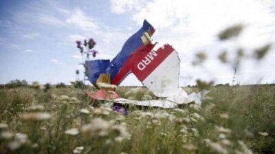 В суде Нидерландов завершились слушания по делу о крушении MH17