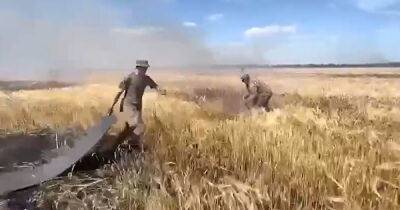 "Повторяют Голодомор": Россия обстреливает украинские поля зажигательными снарядами (ВИДЕО)