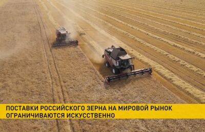 Российские экспортеры зерна заявляют о беспрецедентном экономическом давлении