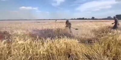 «Пытаются реконструировать Голодомор». Россияне обстреливают украинские поля зажигательными снарядами — Ермак