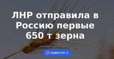 ЛНР отправила в Россию первые 650 т зерна