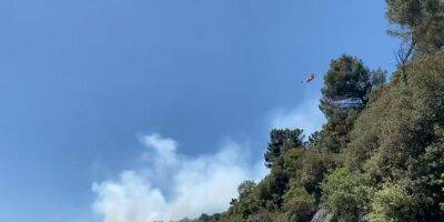 Во Франции горят леса: пожар уничтожил более 100 гектаров