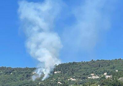 На півдні Франції спалахнули лісові пожежі