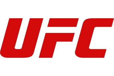 Штырков отреагировал на победу Шевченко на турнире UFC 275