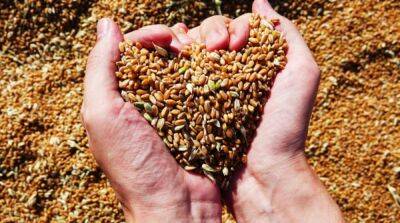 Германия поможет Украине в экспорте зерна