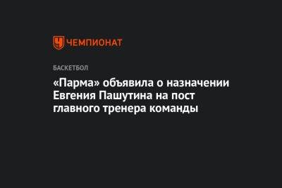 «Парма» объявила о назначении Евгения Пашутина на пост главного тренера команды