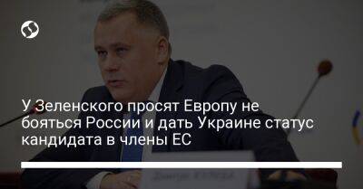 У Зеленского просят Европу не бояться России и дать Украине статус кандидата в члены ЕС
