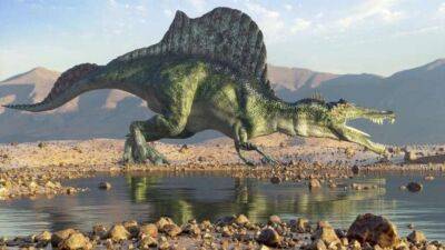 Палеонтологи обнаружили останки крупнейшего в Европе динозавра