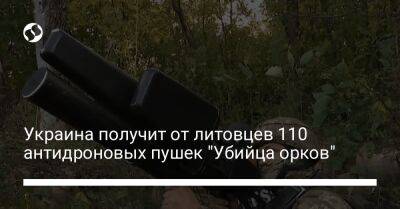 Украина получит от литовцев 110 антидроновых пушек "Убийца орков"