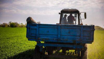 Мины вместо урожая: украинские фермеры пытаются работать